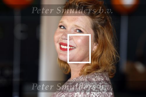 Hilversum 30 augustus 2022
Perspresentatie NPO in theater Gooiland.
Tjitske Reidinga