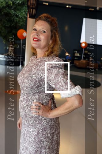 Hilversum 30 augustus 2022
Perspresentatie NPO in theater Gooiland.
Tjitske Reidinga