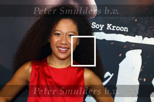 Barneveld 23 augustus 2023
Dorian Bindels en Soy Kroon gaan de mannelijke hoofdrollen spelen in 40-45 de Musical die door Studio 100 geproduceerd wordt . De vrouwelijke hoofdrollen worden vertolkt door Niniane Everaert en Gaia Aikman .De voorstelling gaat spelen in de midden Nederland hallen. Gert Verhulst is de bedenker. Renze Klamer presenteert het .