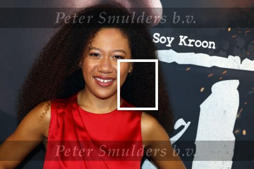 Barneveld 23 augustus 2023
Dorian Bindels en Soy Kroon gaan de mannelijke hoofdrollen spelen in 40-45 de Musical die door Studio 100 geproduceerd wordt . De vrouwelijke hoofdrollen worden vertolkt door Niniane Everaert en Gaia Aikman .De voorstelling gaat spelen in de midden Nederland hallen. Gert Verhulst is de bedenker. Renze Klamer presenteert het .