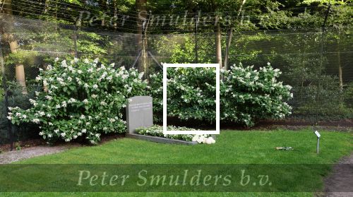 Lage Vuursche, 12 August us 2023
Graf Prins Friso 10 jaar overleden