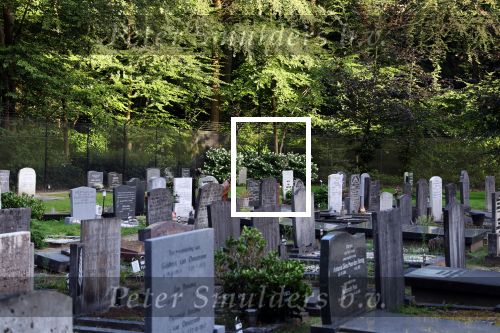 Lage Vuursche, 12 August us 2023
Graf Prins Friso 10 jaar overleden