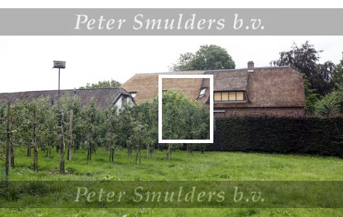 Haarzuilens Amsterdam 3 augustus 2023
De huizen van Ivo Niehe en zijn vrouw en zoons.
De nieuwe boerderij die verbouwd wordt in Haarzuilens