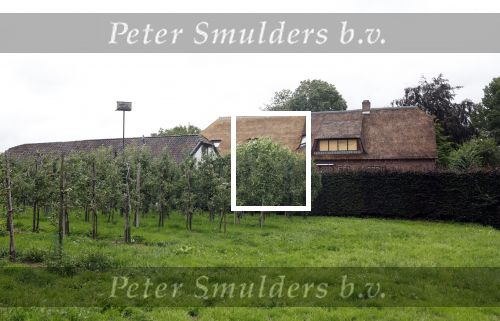 Haarzuilens Amsterdam 3 augustus 2023
De huizen van Ivo Niehe en zijn vrouw en zoons.
De nieuwe boerderij die verbouwd wordt in Haarzuilens