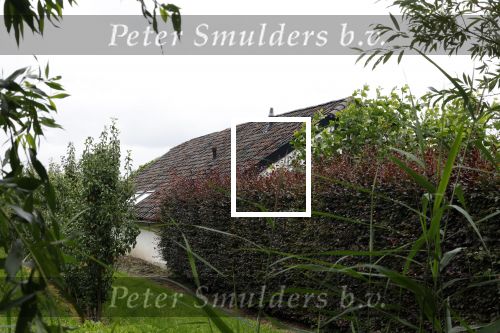 Haarzuilens Amsterdam 3 augustus 2023
De huizen van Ivo Niehe en zijn vrouw en zoons.
De nieuwe boerderij die verbouwd wordt in Haarzuilens