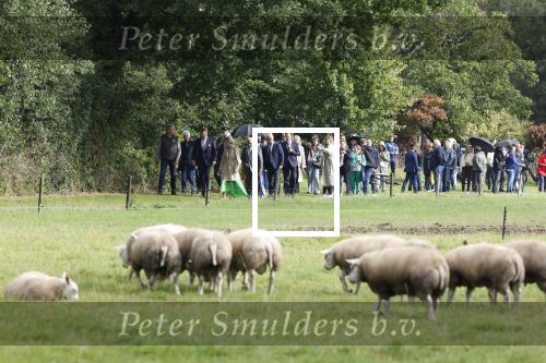 Gelderland 31 augustus 2023
Koning Willem Alexander en Koningin Maxima bij streekbezoek in provincie Gelderland .