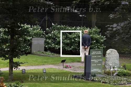 Lage Vuursche 28 juli 2023
Palijs Drakensteyn van prinss Beatrix . De poort is geschilderd en in de tuin staan hekken met donkee doeken voor privacy . Op de begraafplaats naat het kasteel ligt het graf van Prins Friso waar struiken omheen zijn gezet.