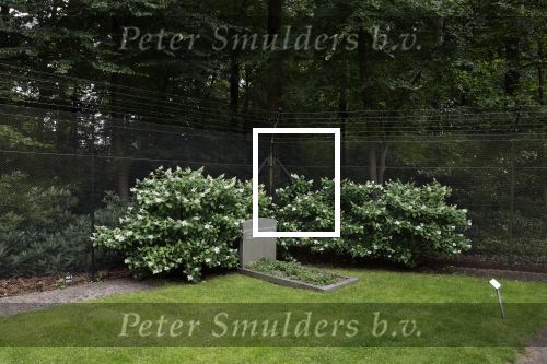 Lage Vuursche 28 juli 2023
Palijs Drakensteyn van prinss Beatrix . De poort is geschilderd en in de tuin staan hekken met donkee doeken voor privacy . Op de begraafplaats naat het kasteel ligt het graf van Prins Friso waar struiken omheen zijn gezet.
