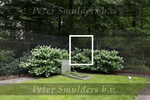 Lage Vuursche 28 juli 2023
Palijs Drakensteyn van prinss Beatrix . De poort is geschilderd en in de tuin staan hekken met donkee doeken voor privacy . Op de begraafplaats naat het kasteel ligt het graf van Prins Friso waar struiken omheen zijn gezet.