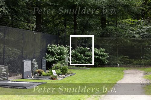 Lage Vuursche 28 juli 2023
Palijs Drakensteyn van prinss Beatrix . De poort is geschilderd en in de tuin staan hekken met donkee doeken voor privacy . Op de begraafplaats naat het kasteel ligt het graf van Prins Friso waar struiken omheen zijn gezet.