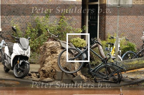 Amsterdam 5 en 6 juli 2023
Storm Poly in Amsterdam