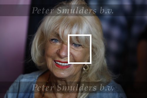 Amsterdam 31 augustus 2024
50 jaar Radio Veronica op het veronica schip.
Aanwezig oa Tineke de Nooij Wil Luikinga Adje Roland Erik de Zwart Ben Cramer Chimene v Oosterhout Manuela Kemp en haar man Tjerk Lammers . Bea Willemstein