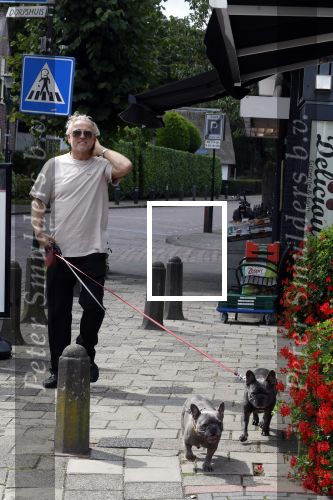 Blaricum 24 augustus 2024
Gordon laat zijn twee hondjes uit.