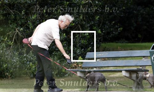 Blaricum 24 augustus 2024
Gordon laat zijn twee hondjes uit.