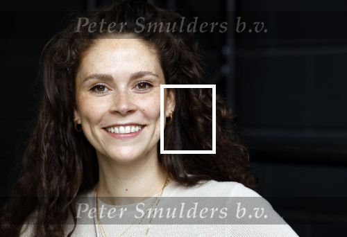 Molenaarsgraaf 26 augustus 2024
Presntatie cast Shrek met oa Rene v Kooten Linda Verstraten Qshans Thode en Darren v d Lek . Michael v Hoorne is de producent