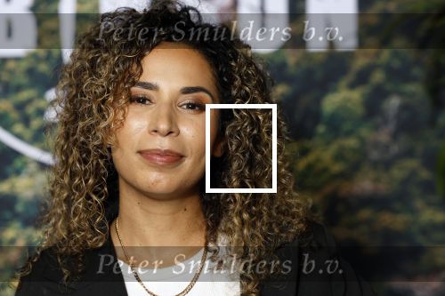 Hilversum 23 augustus 2024
Presentatie deelnemers expeditie Robinson 2024 . De presentatoren zijn Art Rooijakers en Nicolette Kluijver .
De deelnemers zijn Nouchka Fontijn Ymre Stiekema Vincent Visser Thomas v d Vlugt Hamza Othman Kimmylien Nguyen Jamie Kames Julie Reinders Ramon Brugman Joy v Swieten Billy Dans Ellemieke Vermolen Rikkie Kolle Ouassima Tajmout  Marijn Kuipers Farja Farvardin (FawryNotSawry) Kiran Badloe  en Timor Steffens