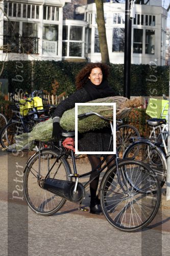 Amsterdam 15 december 2015 
Paula v d Oest met kerstboom vondelpark CS