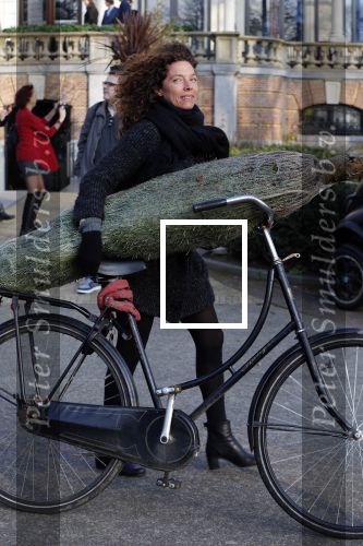 Amsterdam 15 december 2015 
Paula v d Oest met kerstboom vondelpark CS