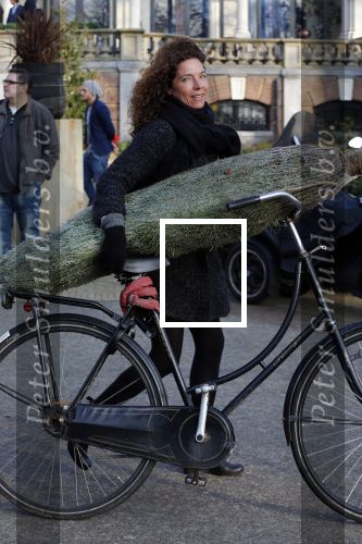 Amsterdam 15 december 2015 
Paula v d Oest met kerstboom vondelpark CS