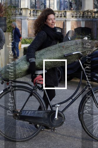 Amsterdam 15 december 2015 
Paula v d Oest met kerstboom vondelpark CS