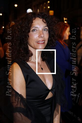 Amsterdam 22 maart 2011
Premiere Black butterflies in Tuschinski met Rutger Hauer  Carice v Houten en Liam Cunningham . Paula v d Oest was de regisseur..Paula met kinderen