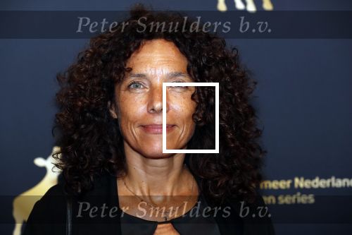 Utrecht 27 september 2019
Premiere Instinct tijdens de utrechtse filmdagen.
Halina Reijn deed de regie en Carice v Houten speelt de hoofdrol. 
Paula v Oest