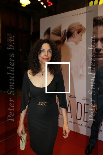 Amsterdam 30 maart 2014
Premiere Lucia de B in Tuschinski. paula v d Oest