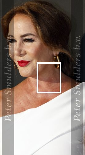 Amsterdam 9augustus 2024
Premiere show Hans Klok in Carre . Sittah Koene