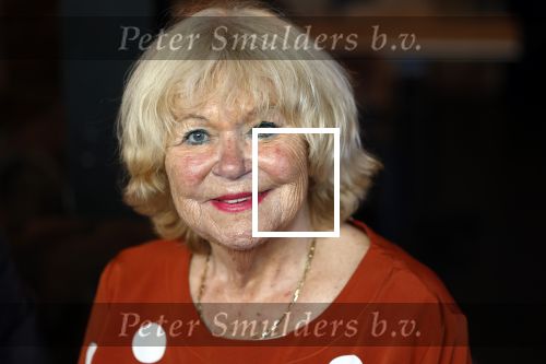 Amsterdam 31 augustus 2024
50 jaar Radio Veronica op het veronica schip.
Aanwezig oa Tineke de Nooij Wil Luikinga Adje Roland Erik de Zwart Ben Cramer Chimene v Oosterhout Manuela Kemp en haar man Tjerk Lammers .