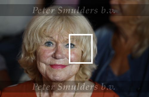 Amsterdam 31 augustus 2024
50 jaar Radio Veronica op het veronica schip.
Aanwezig oa Tineke de Nooij Wil Luikinga Adje Roland Erik de Zwart Ben Cramer Chimene v Oosterhout Manuela Kemp en haar man Tjerk Lammers .