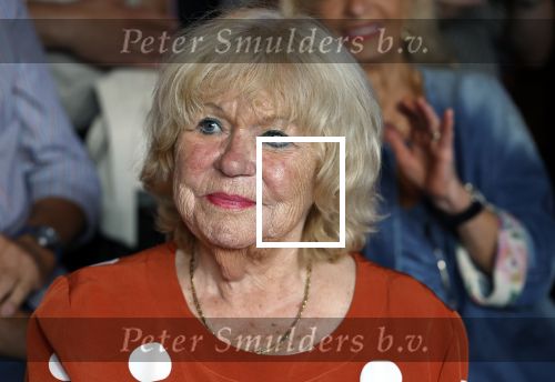 Amsterdam 31 augustus 2024
50 jaar Radio Veronica op het veronica schip.
Aanwezig oa Tineke de Nooij Wil Luikinga Adje Roland Erik de Zwart Ben Cramer Chimene v Oosterhout Manuela Kemp en haar man Tjerk Lammers .