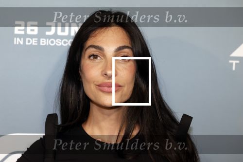 Amsterdam 24 juni 2025
Premiere fil F1 in pathe arena . Anna Nooshin