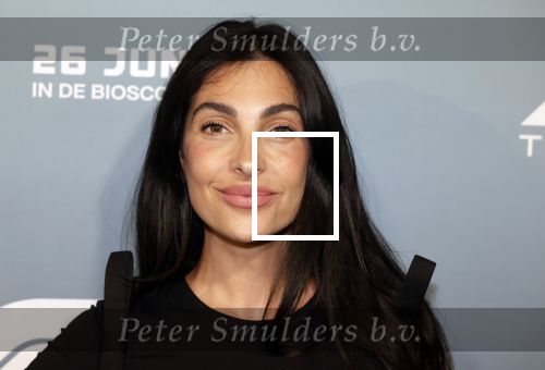 Amsterdam 24 juni 2025
Premiere fil F1 in pathe arena . Anna Nooshin