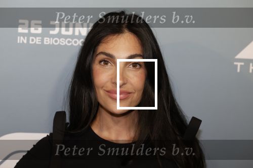 Amsterdam 24 juni 2025
Premiere fil F1 in pathe arena . Anna Nooshin