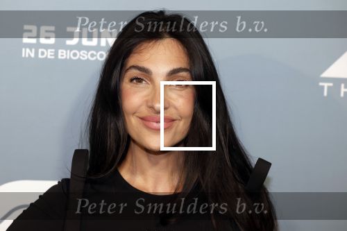 Amsterdam 24 juni 2025
Premiere fil F1 in pathe arena . Anna Nooshin