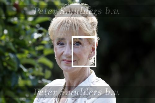 Almere 21 augustus 2025
Berdien Stenberg met haar man Pieter Kleve in de tuin van hun huis .