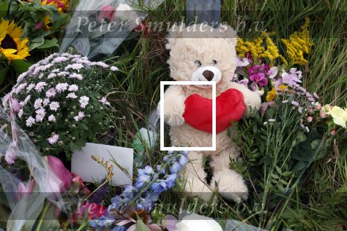 Amsterdam 22 augustus 2025
Op de plek waar de 17 jarige Lisa uit Abcoude vermoord is worden door veel mensen bloemen en knuffelbeesten gelegd .