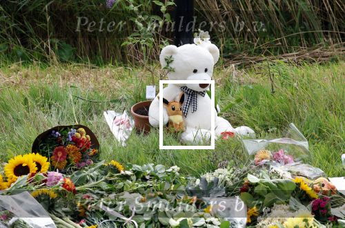 Amsterdam 22 augustus 2025
Op de plek waar de 17 jarige Lisa uit Abcoude vermoord is worden door veel mensen bloemen en knuffelbeesten gelegd .
