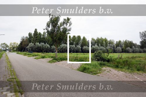 Breukelen 4 augustus 2025
Op deze plek heeft Rick Brandsteder een ongeluk gehad terwijl hij gedronken zou hebben