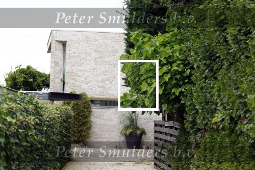 Breukeleveen 4 augustus 2025
Het huis waar Ron Brandsteder woonde aan de Loosdrechtse plassen is helemaal leeg