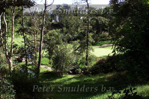 14 September 1999
DRUIDS GLEN Golfclub
Ierland Golfen