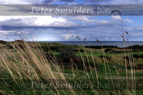Maandag 13 September 1999
The European Golfclub
Golfen Ierland
At Brittas Bay in Wicklow