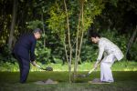 AMSTELVEEN  19 Juni 2026Keizer Nahurito, keizerin Masako van Japan tijdens een boomplant ceremonie in het Japanse Bloesempark tijdens de derde dag van het Japanse staatsbezoek aan Nederland.