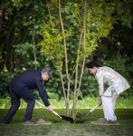 AMSTELVEEN  19 Juni 2026Keizer Nahurito, keizerin Masako van Japan tijdens een boomplant ceremonie in het Japanse Bloesempark tijdens de derde dag van het Japanse staatsbezoek aan Nederland.