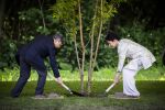 AMSTELVEEN  19 Juni 2026Keizer Nahurito, keizerin Masako van Japan tijdens een boomplant ceremonie in het Japanse Bloesempark tijdens de derde dag van het Japanse staatsbezoek aan Nederland.