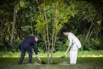 AMSTELVEEN  19 Juni 2026Keizer Nahurito, keizerin Masako van Japan tijdens een boomplant ceremonie in het Japanse Bloesempark tijdens de derde dag van het Japanse staatsbezoek aan Nederland.