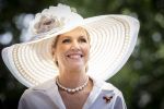 Amsterdam 9 juni 2026
Op uitnodiging van Zijne Majesteit de Koning - Koning Willem Alexander en Koningin Maxima brengt de bondspresident van Duitsland, Frank-Walter Steinmeier, een staatsbezoek aan Nederland. Hij wordt hierbij vergezeld door zijn echtgenote Elke BÃ¼denbender.
