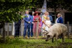 ROERMOND 19 mei 2026 Koning Willem Alexander en Koningin Maxima brengen een streekbezoek aan de gemeenten Maasgouw, Echt-Susteren, Roerdalen en Roermond. Tijdens het streekbezoek bezoekt het paar de schutterij in Wessem, Abdij Lilbosch in Echt, het smalste stukje Nederland in Illikhoven en Roermond, 19 Mei 2026. 