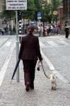 Amsterdam 17 juni 2026
Vandaag is het staatsbezoek van Japan en Nederland . S avonds komen er allemaal andere gasten . Hondje Mambo wordt uitgelaten 