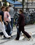 Amsterdam 17 juni 2026
Vandaag is het staatsbezoek van Japan en Nederland . S avonds komen er allemaal andere gasten . Hondje Mambo wordt uitgelaten 